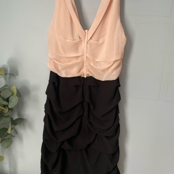 Express Dress - Picture 4 of 4